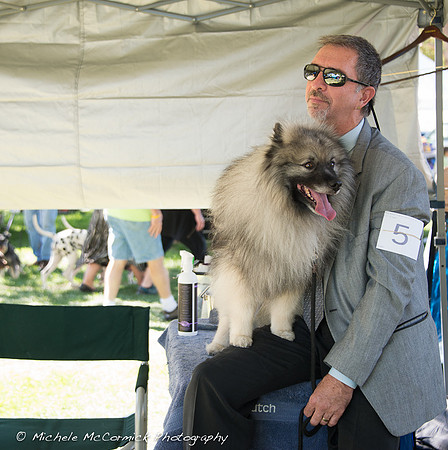 1209_Keeshond_224