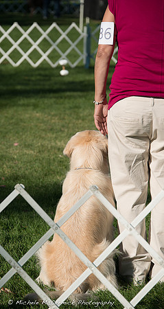 1209_Golden_409
