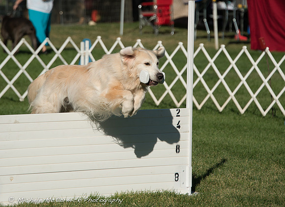1209_Golden_416