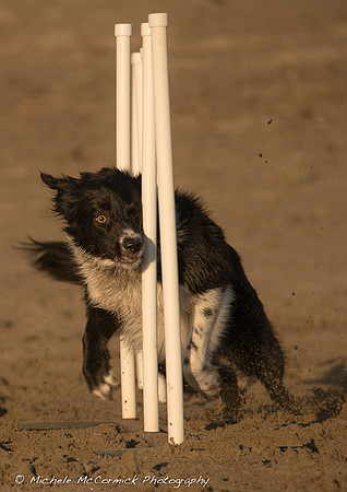 1210_Border_672