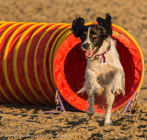 1210_Springer_784