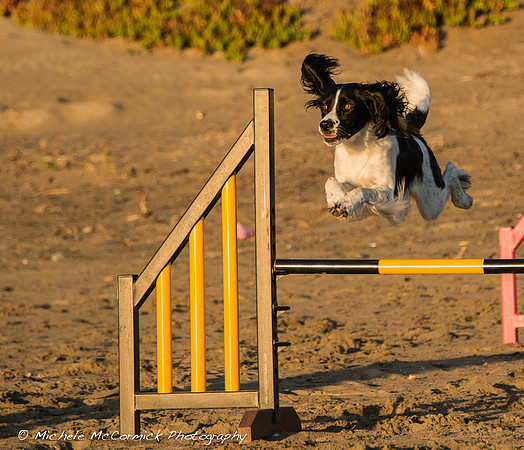 1210_Springer_816