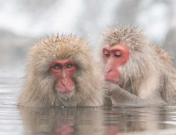 Spa Day