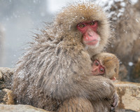 Mother and Child