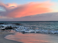 Gentoo Dawn