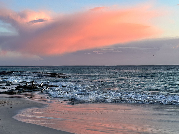 Gentoo Dawn