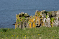 Grimsey Island