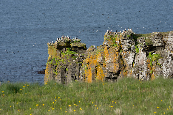 Grimsey Island