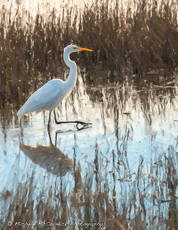Egret