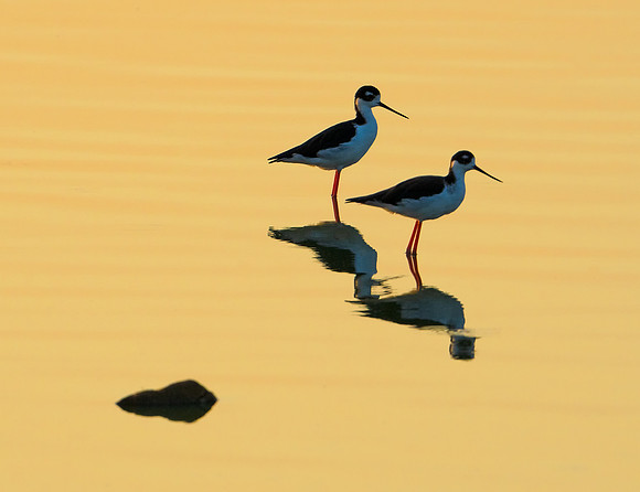 Stilts in the Golden Dawn